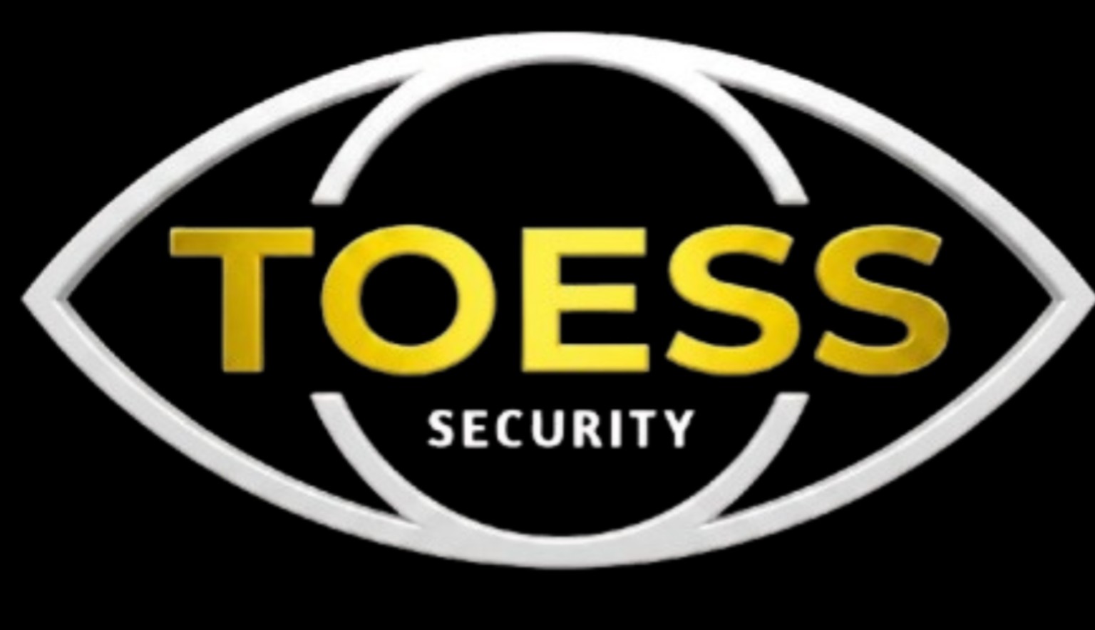 Third Open Eye Security Services 22 TOESS